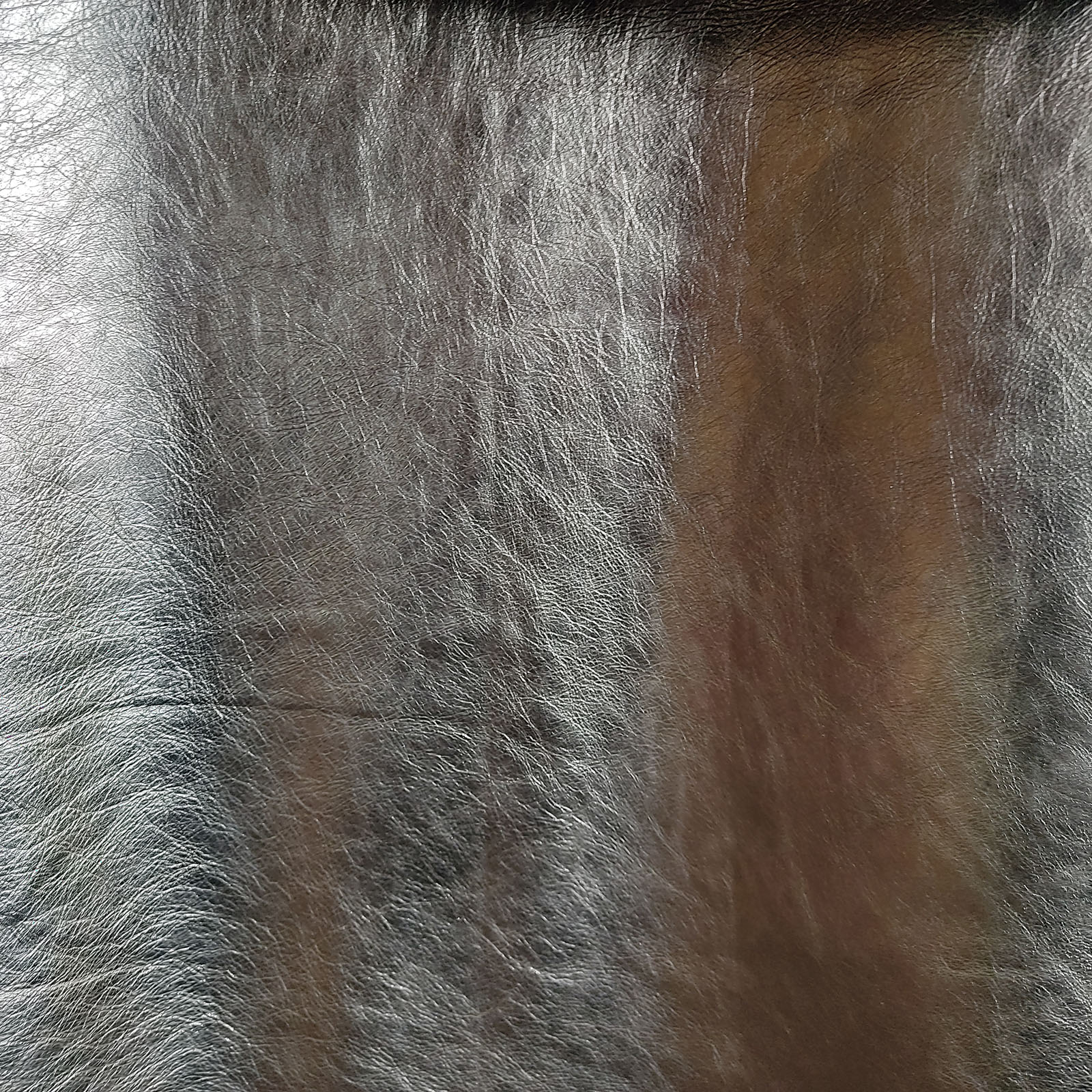 IMG 20230602 102435