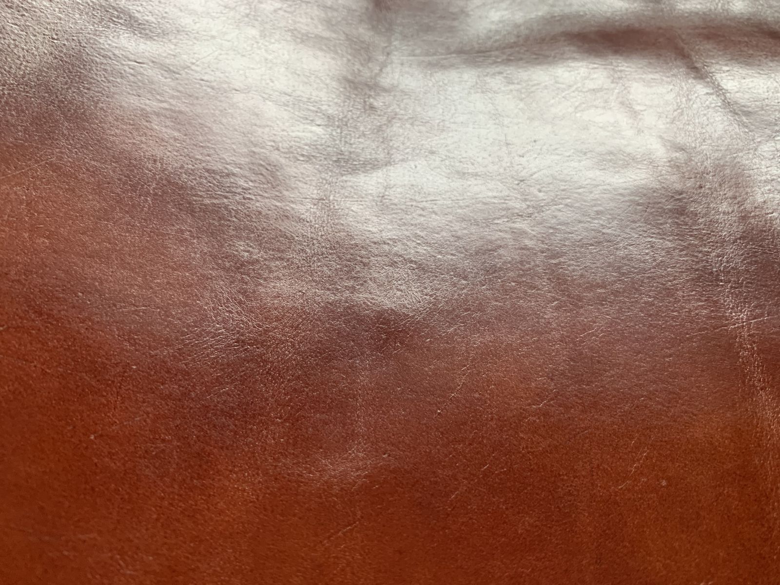 image00027
